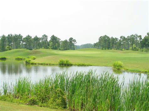 Shell landing golf course - Shell Landing is a high-end golf course which is open to the public. The course is located in Gautier, Mississippi just south of hwy 90 and 20 minutes from Biloxi. The course open in 2000 and was designed by the famous tour player Davis Love III. The course has rolling hills, tall pines, pine savannahs and pristine coastal marshlands. 